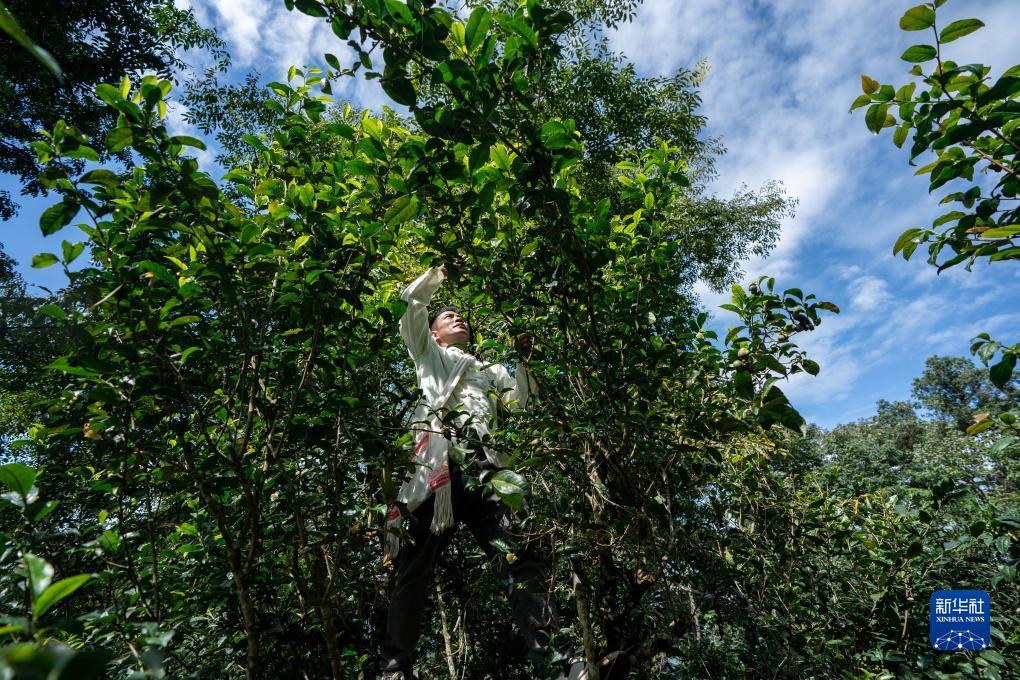 王者捕鱼游戏下载